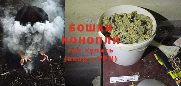 сатива Коряжма