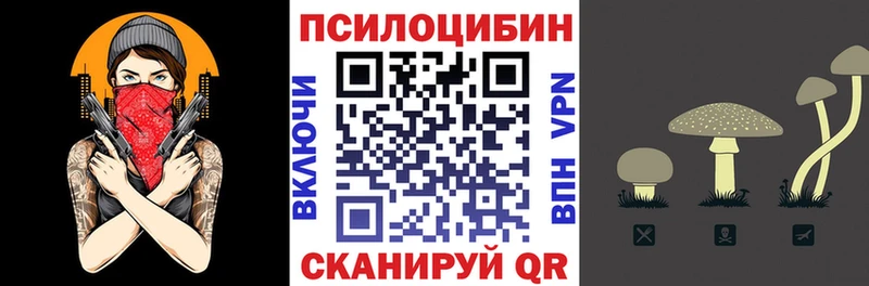 Псилоцибиновые грибы ЛСД  Купить где  Дубовка 
